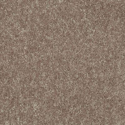 Shaw Floors Value Collections Briceville Classic 12′ Net River Slate 00720_E9196