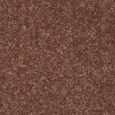 Shaw Floors Value Collections Briceville Classic 12′ Net Winter Wheat 55791_E9196