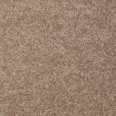 Shaw Floors Value Collections Briceville Classic 12′ Net Dusty Trail 55793_E9196