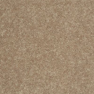 Shaw Floors Value Collections Briceville Classic 15′ Net Soapstone 00107_E9197