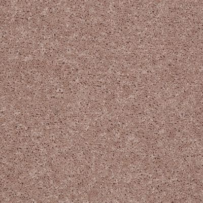 Shaw Floors Value Collections Briceville Classic 15′ Net Wild Dune 00201_E9197