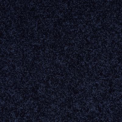 Shaw Floors Value Collections Briceville Classic 15′ Net Evening Sky 00403_E9197