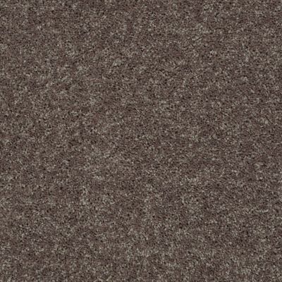 Shaw Floors Value Collections Briceville Classic 15′ Net Shale 00703_E9197
