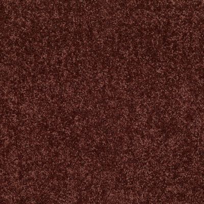 Shaw Floors Value Collections Briceville Classic 15′ Net Coffee 55755_E9197