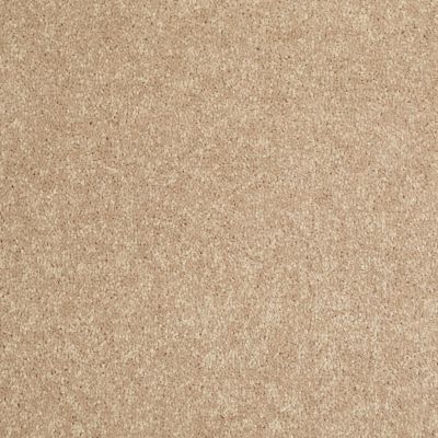 Shaw Floors Value Collections Newbern Classic 12′ Net Straw Hat 00260_E9198