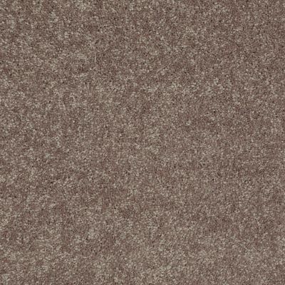 Shaw Floors Value Collections Newbern Classic 12′ Net Suede 00731_E9198
