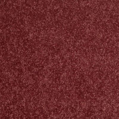 Shaw Floors Value Collections Newbern Classic 12′ Net Radiant Orchid 00931_E9198