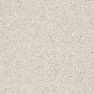 Shaw Floors Value Collections Newbern Classic 12′ Net Taupe 55105_E9198