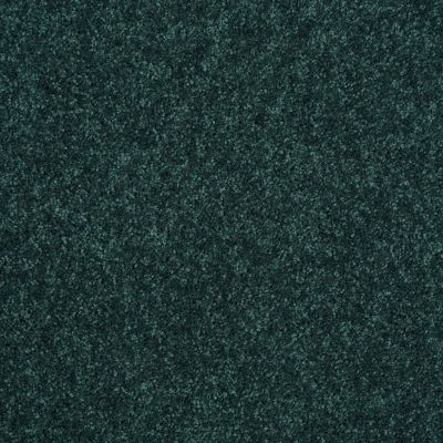 Shaw Floors Value Collections Newbern Classic 12′ Net Polo 55301_E9198
