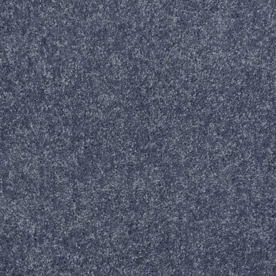 Shaw Floors Value Collections Newbern Classic 12′ Net Colonial 55401_E9198