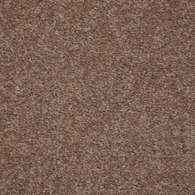 Shaw Floors Value Collections Newbern Classic 12′ Net Candied Truffle 55750_E9198