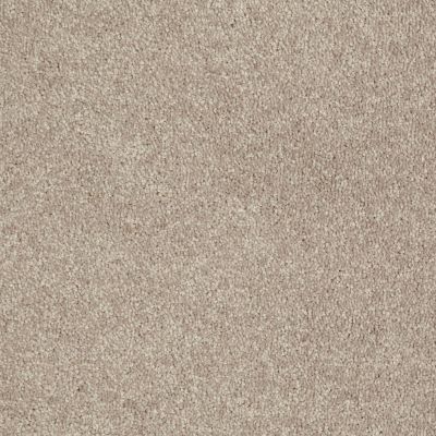Shaw Floors Value Collections Newbern Classic 12′ Net Plaster 55752_E9198