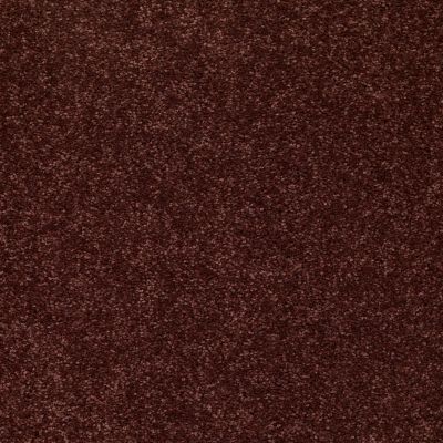 Shaw Floors Value Collections Newbern Classic 12′ Net Coffee 55755_E9198