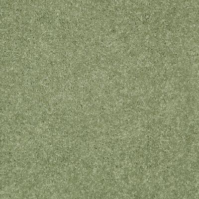Shaw Floors Value Collections Newbern Classic 15′ Net Going Green 00330_E9199