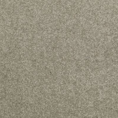 Shaw Floors Value Collections Newbern Classic 15′ Net Suede 00731_E9199