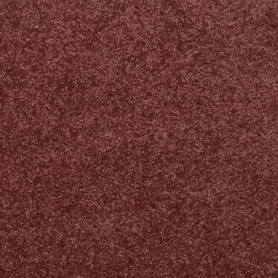 Shaw Floors Value Collections Newbern Classic 15′ Net Radiant Orchid 00931_E9199