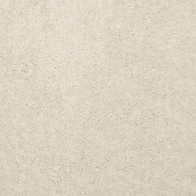 Shaw Floors Value Collections Newbern Classic 15′ Net Ivory Tint 55101_E9199