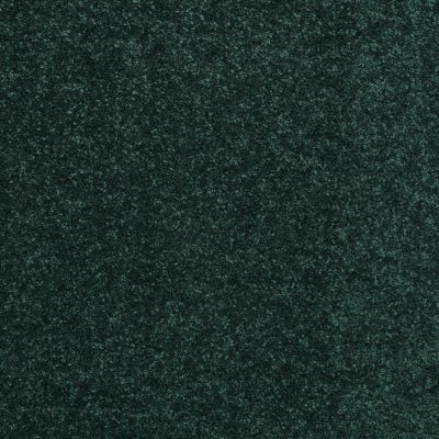 Shaw Floors Value Collections Newbern Classic 15′ Net Polo 55301_E9199
