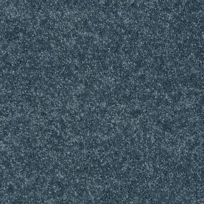 Shaw Floors Value Collections Newbern Classic 15′ Net Colonial 55401_E9199