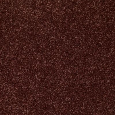 Shaw Floors Value Collections Newbern Classic 15′ Net Coffee 55755_E9199