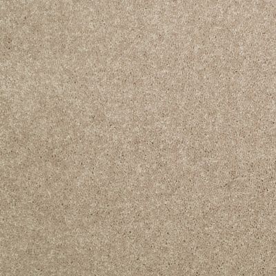 Shaw Floors Value Collections Newbern Classic 15′ Net Dusty Trail 55793_E9199