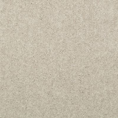 Shaw Floors Value Collections Dyersburg Classic 12 Net Dove 55700_E9206