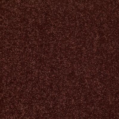 Shaw Floors Value Collections Dyersburg Classic 12 Net Coffee 55755_E9206