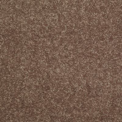 Shaw Floors Value Collections Dyersburg Classic 12 Net Winter Wheat 55791_E9206