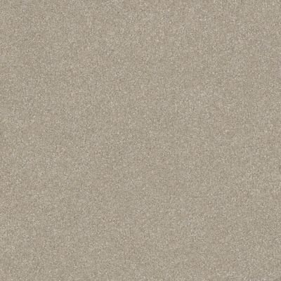 Shaw Floors Foundations Luxuriant Smoke Signal 00170_E9253