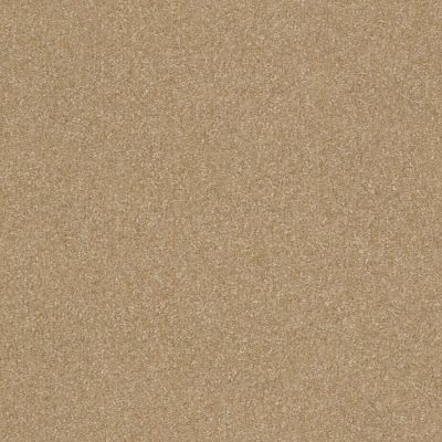 Shaw Floors Foundations Luxuriant Summer Suede 00760_E9253