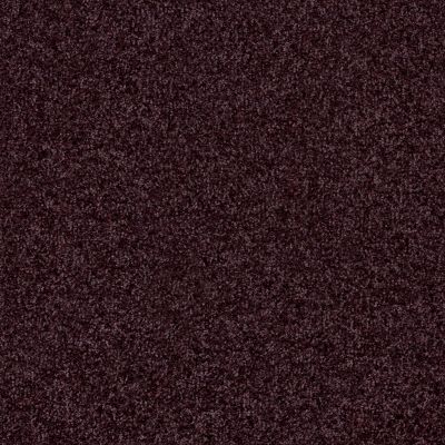 Shaw Floors Foundations Luxuriant Passionate Plum 00962_E9253
