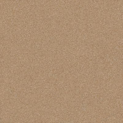 Shaw Floors Foundations Prestigious Mountain Lion 00166_E9255