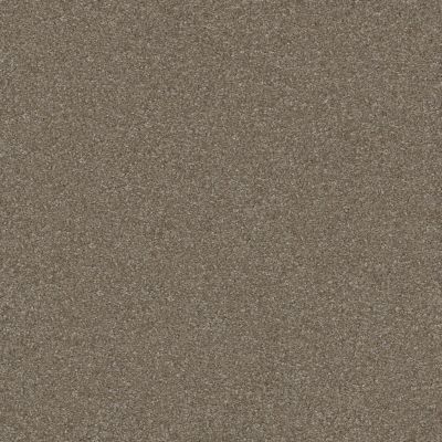 Shaw Floors Foundations Prestigious Mockingbird 00181_E9255