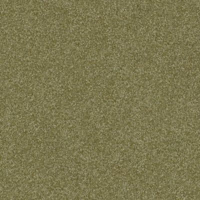 Shaw Floors Foundations Prestigious Sea Grass 00361_E9255