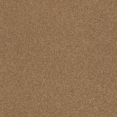 Shaw Floors Foundations Prestigious Burnt Ivory 00761_E9255