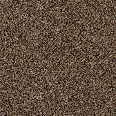 Shaw Floors Simply The Best Because We Can II 15 Raw Sienna 00202_E9259