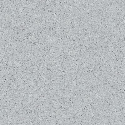 Shaw Floors Value Collections Full Court 15′ Net Dove 00540_E9270