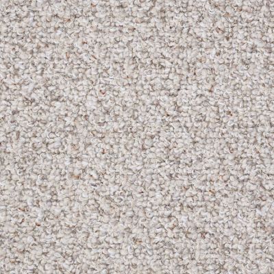 Shaw Floors Value Collections Pure Waters 12′ Net Timeless Neutral 00103_E9279