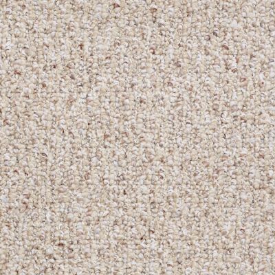 Shaw Floors Value Collections Pure Waters 12′ Net Sisal Weave 00200_E9279
