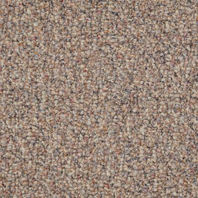 Shaw Floors Value Collections Pure Waters 12′ Net Moonlight Path 00201_E9279