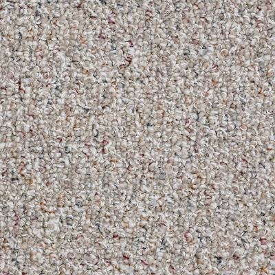 Shaw Floors Value Collections Pure Waters 12′ Net Tweed 00300_E9279