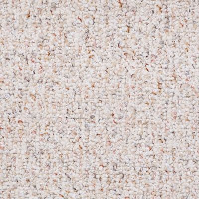 Shaw Floors Value Collections Pure Waters 15′ Net Clam Shell 00102_E9280