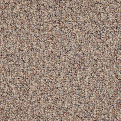Shaw Floors Value Collections Pure Waters 15′ Net Moonlight Path 00201_E9280