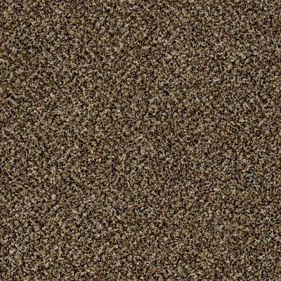 Shaw Floors Value Collections Because We Can I 12′ Net Sandpiper 00201_E9312