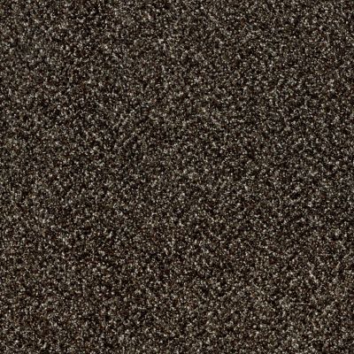 Shaw Floors Value Collections Because We Can I 12′ Net River Rock 00702_E9312