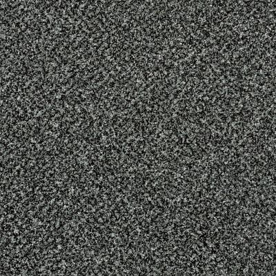 Shaw Floors Value Collections Because We Can II 12′ Net Smokey Shimmer 00502_E9314