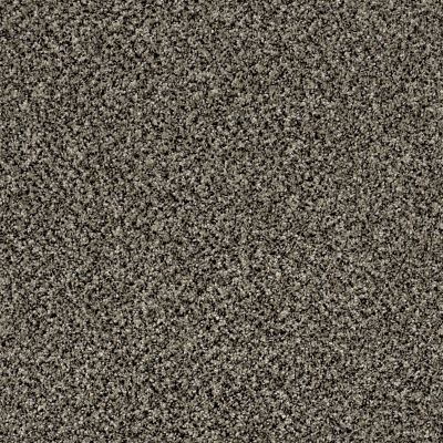 Shaw Floors Value Collections Because We Can III 15′ Net Timber Wolf 00104_E9317