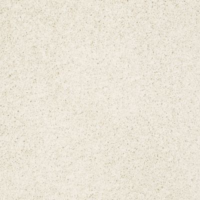 Shaw Floors Value Collections Gold Twist Net Fine China 00104_E9329