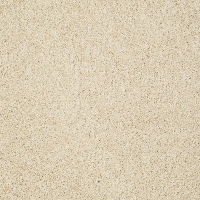 Shaw Floors Value Collections Gold Twist Net Chenille Soft 00110_E9329