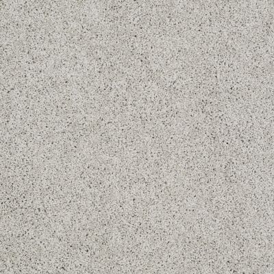 Shaw Floors Value Collections Gold Twist Net Waikiki Sand 00131_E9329